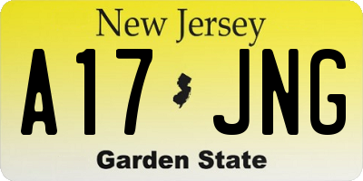 NJ license plate A17JNG