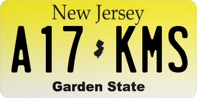 NJ license plate A17KMS
