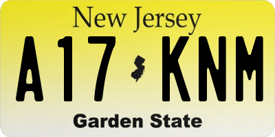 NJ license plate A17KNM