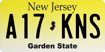 NJ license plate A17KNS