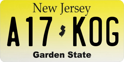 NJ license plate A17KOG