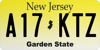 NJ license plate A17KTZ