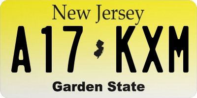 NJ license plate A17KXM