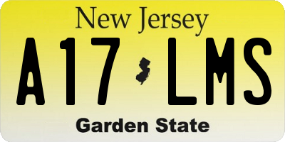 NJ license plate A17LMS