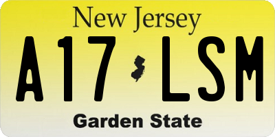 NJ license plate A17LSM