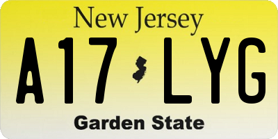 NJ license plate A17LYG