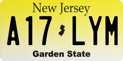 NJ license plate A17LYM