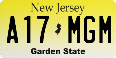 NJ license plate A17MGM