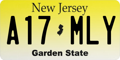 NJ license plate A17MLY