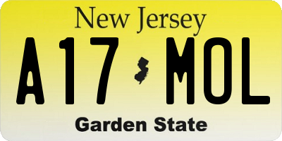 NJ license plate A17MOL