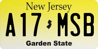 NJ license plate A17MSB