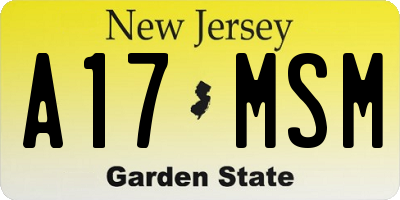 NJ license plate A17MSM