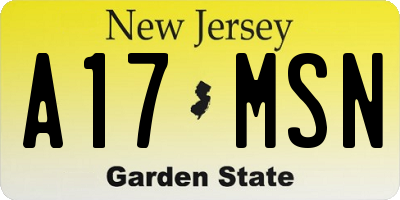 NJ license plate A17MSN