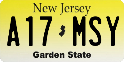 NJ license plate A17MSY