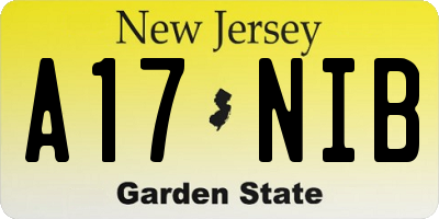 NJ license plate A17NIB