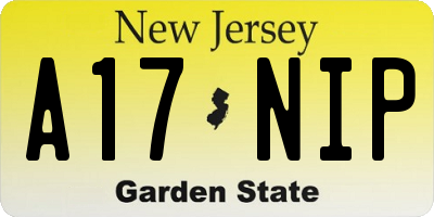 NJ license plate A17NIP