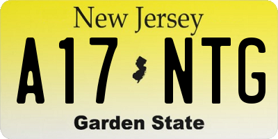 NJ license plate A17NTG