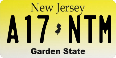 NJ license plate A17NTM
