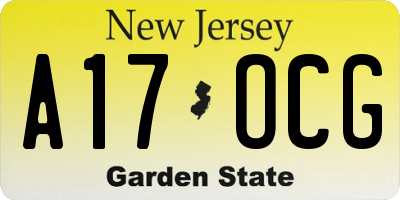 NJ license plate A17OCG