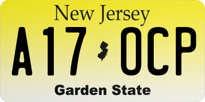 NJ license plate A17OCP