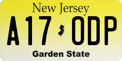 NJ license plate A17ODP