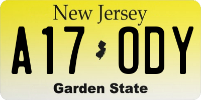 NJ license plate A17ODY