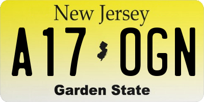 NJ license plate A17OGN