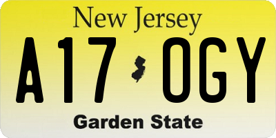 NJ license plate A17OGY