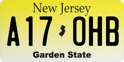 NJ license plate A17OHB