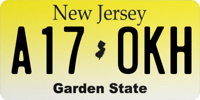 NJ license plate A17OKH