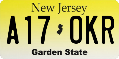 NJ license plate A17OKR