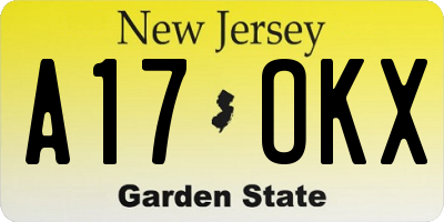 NJ license plate A17OKX