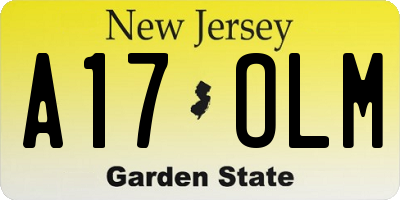 NJ license plate A17OLM