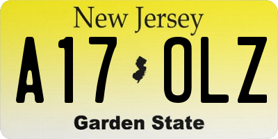 NJ license plate A17OLZ