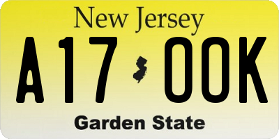 NJ license plate A17OOK