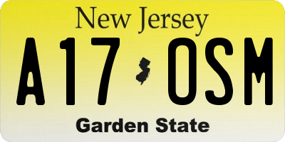NJ license plate A17OSM