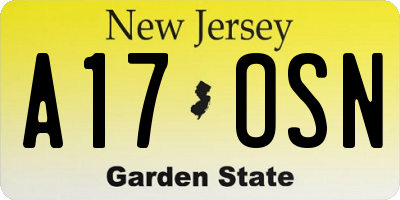 NJ license plate A17OSN