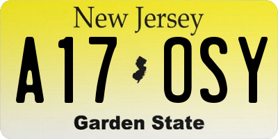NJ license plate A17OSY