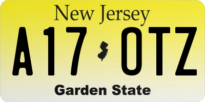 NJ license plate A17OTZ