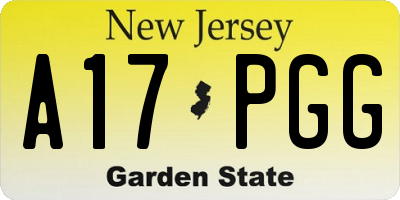 NJ license plate A17PGG