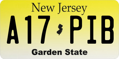 NJ license plate A17PIB