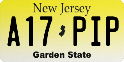 NJ license plate A17PIP