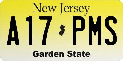 NJ license plate A17PMS