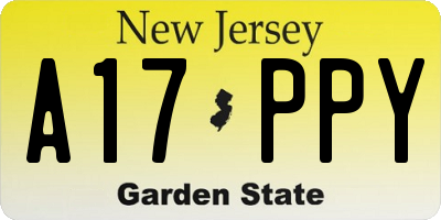 NJ license plate A17PPY