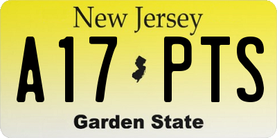 NJ license plate A17PTS