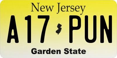 NJ license plate A17PUN
