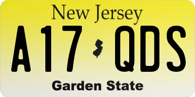 NJ license plate A17QDS