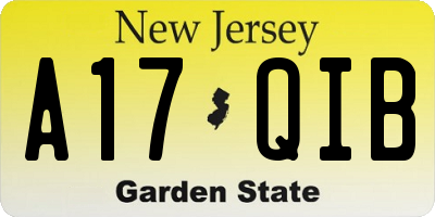 NJ license plate A17QIB