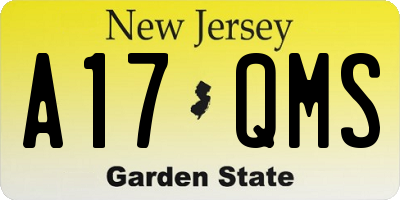 NJ license plate A17QMS