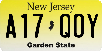 NJ license plate A17QOY